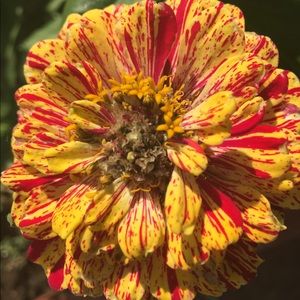 Meet your Posher, Benjamin